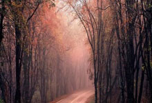 pg电子体育：庆祝球队击败切尔西，哈弗茨社媒晒比分牌并配“❤️”表情.